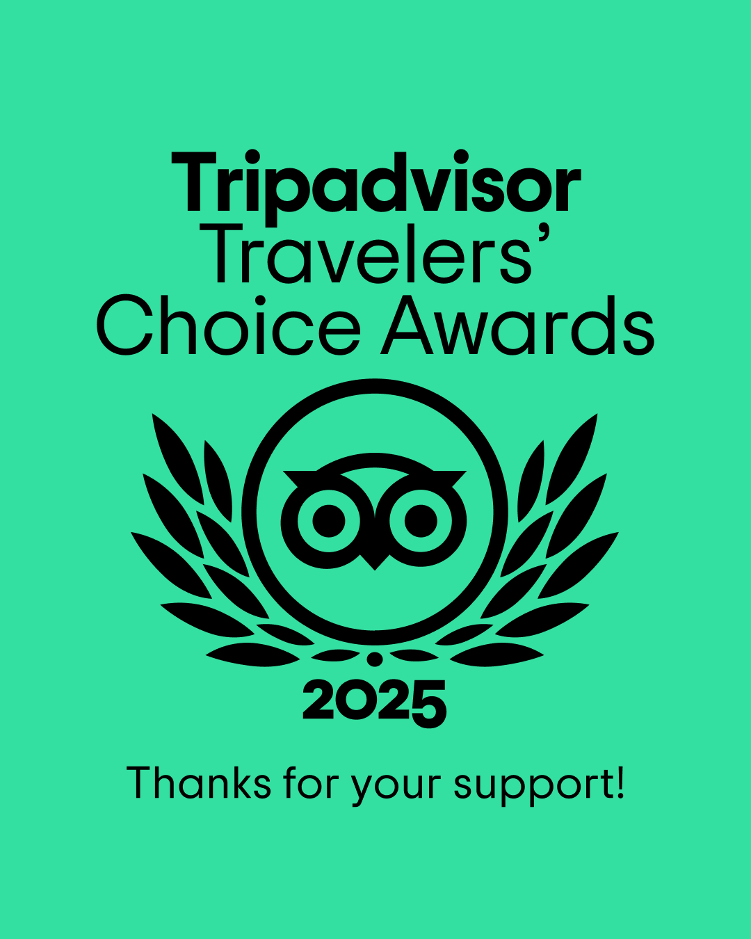 2025 TripAdvisor Travellers Choice